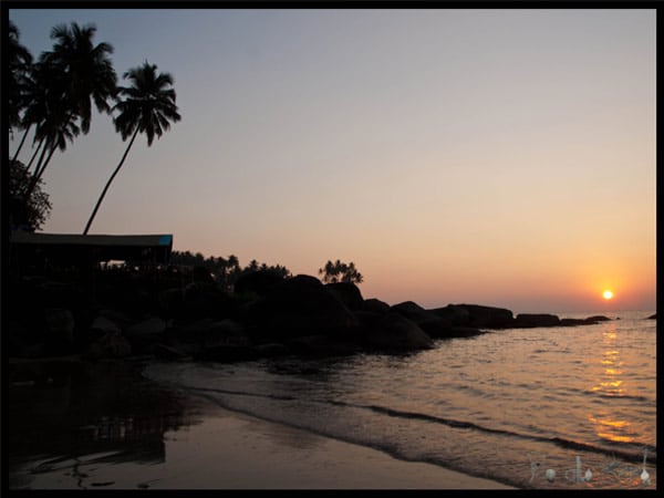 The Big Fish Restaurant review - Palolem beach #Goa @masalaherb
