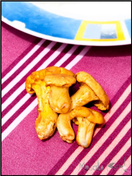 Hunter's schnitzel (Jägerschnitzel) with chanterelle mushrooms #stepbystep #recipe masalaherb.com
