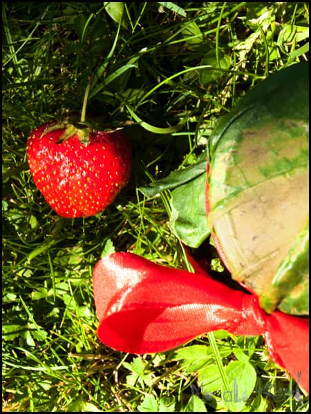 Rhubarb Strawberry Jam #stepbystep #recipe masalaherb.com