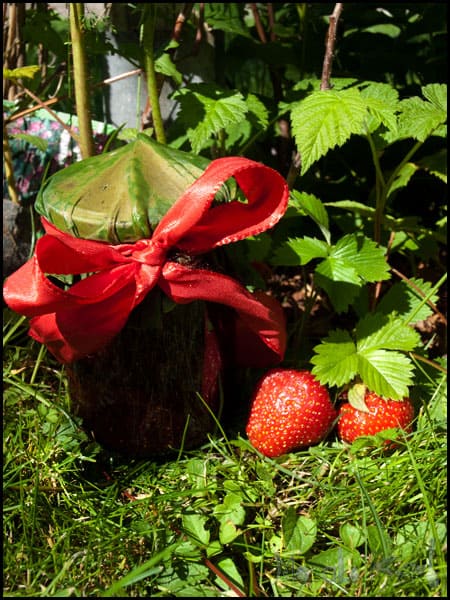 Rhubarb Strawberry Jam #stepbystep #recipe masalaherb.com