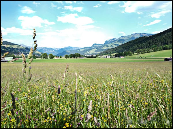 Schwarzsee - Kitzbühel Black Lake- #Tyrol #Austria #travel masalaherb.com
