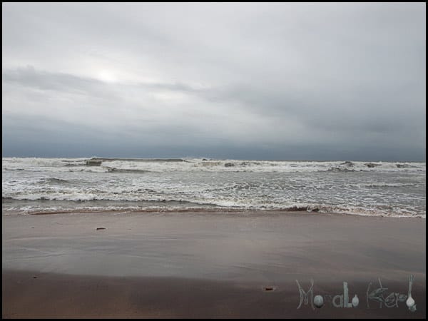 #Goa in September #India #travel masalaherb.com