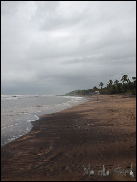 #Goa in September #India #travel masalaherb.com