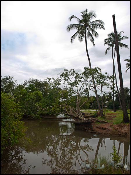 #Goa in September #India #travel masalaherb.com