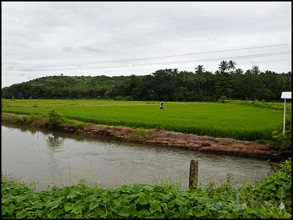 #Goa in September #India #travel masalaherb.com