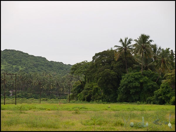 #Goa in September #India #travel masalaherb.com